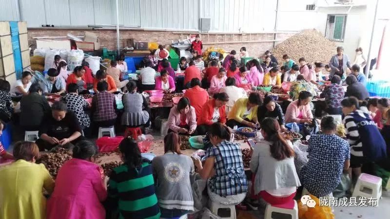 电商扶贫三大重点任务,电商扶贫探索