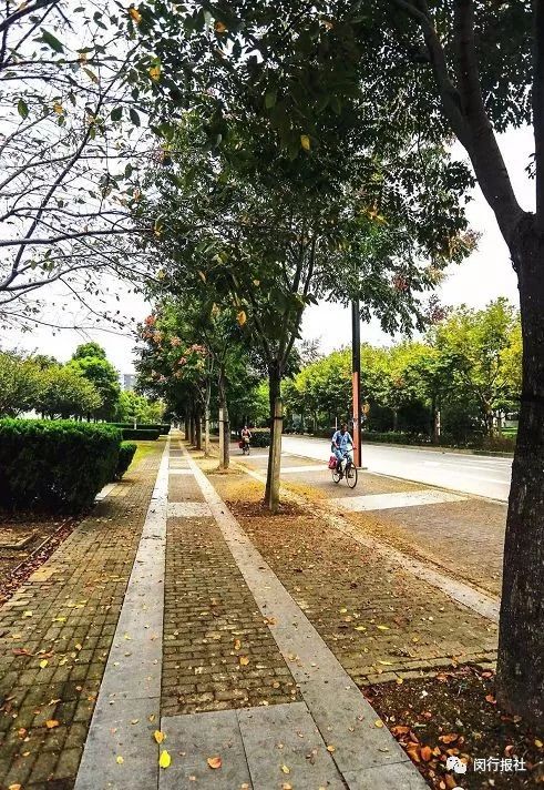 快，换上跑鞋，到上海最美林荫道中，参加欢乐嘉年华！