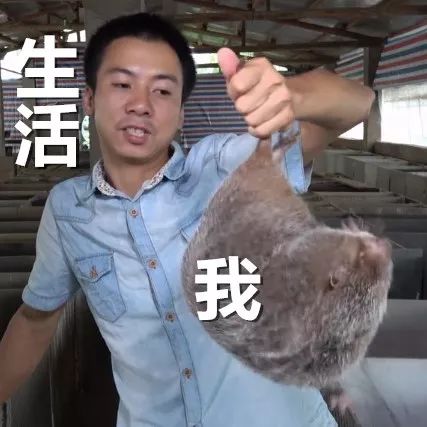 10款平价好用身体乳来袭！每天几毛钱，从头美到脚！