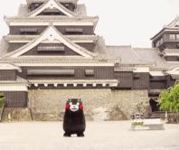 大连人小时候吃的红豆沙雪糕,没吃过那么好吃的雪糕