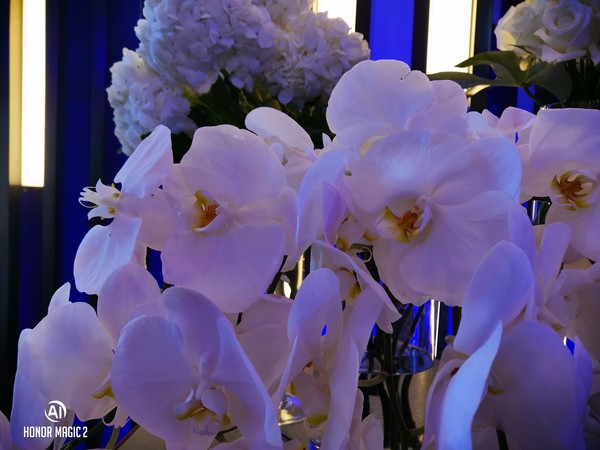 光荣Magic2拍照如何？手持超级夜景赞爆