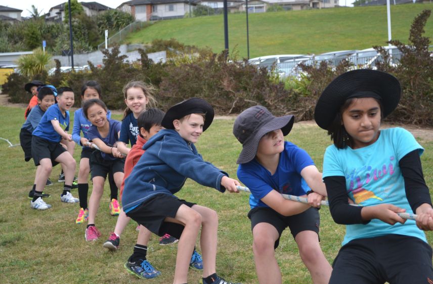 新西兰人为什么强壮,新西兰人这么懒为什么还这么富有