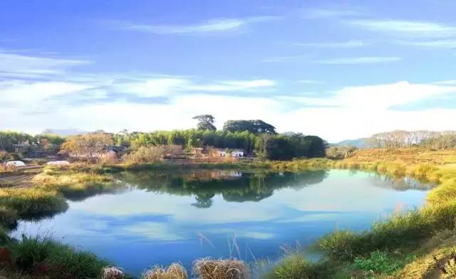 宁化客家祖地旅行社,宁化旅行社