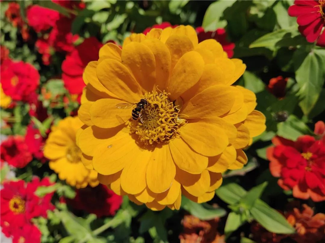 一加6t终极版功能,一加6t的真实使用体验