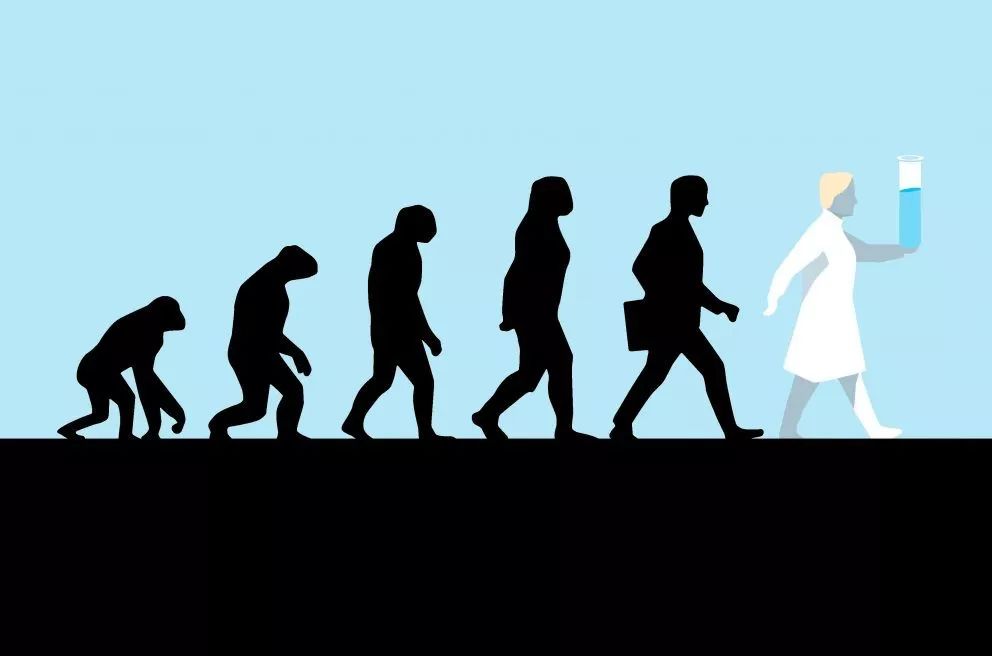 深度解密：PD-1战国时代，如何从单抗的结构和临床前药物特征，评价PD-1单抗的整体性能