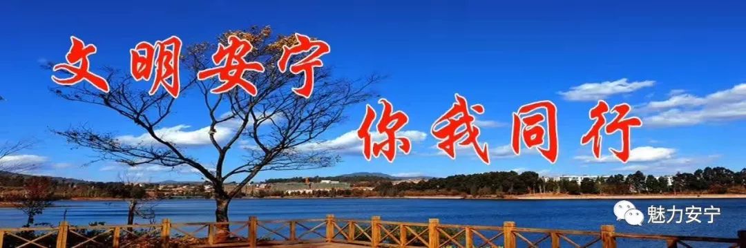 车辆购置税法解读国家税务总局,车辆购置税减税降费政策