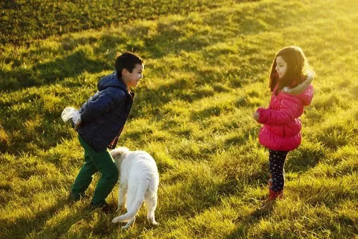 两分钟看济南,听济南美术馆里的美国声音