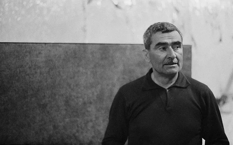 阿尔贝托布里尼奥利,阿尔贝托布里图片