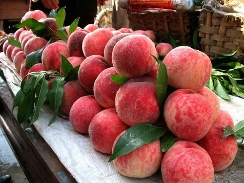 2018成都最全各大批发市场合辑,成都5大批发市场