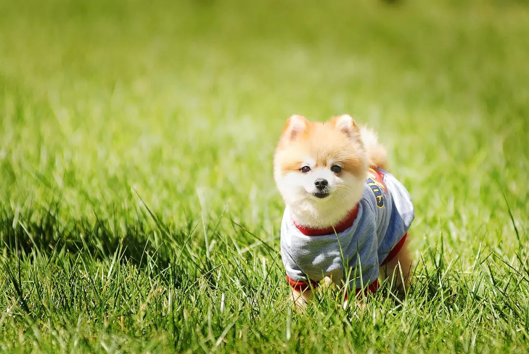 2018成都最全各大批发市场合辑,成都5大批发市场