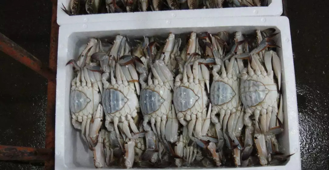 2018成都最全各大批发市场合辑,成都5大批发市场