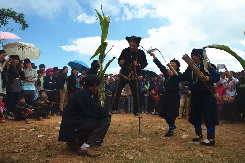 元江哈尼山寨旅游攻略,元江哈尼哪里好玩