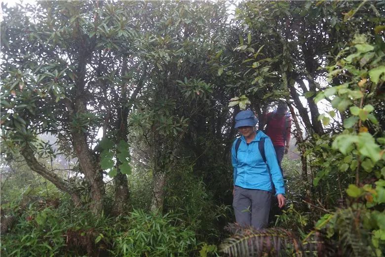 元江哈尼山寨旅游攻略,元江哈尼哪里好玩