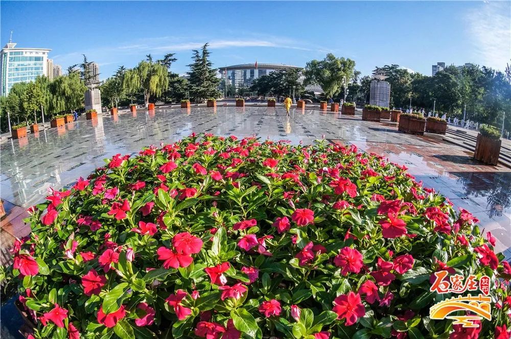 七夕约会圣地河北,七夕去哪儿约会石家庄