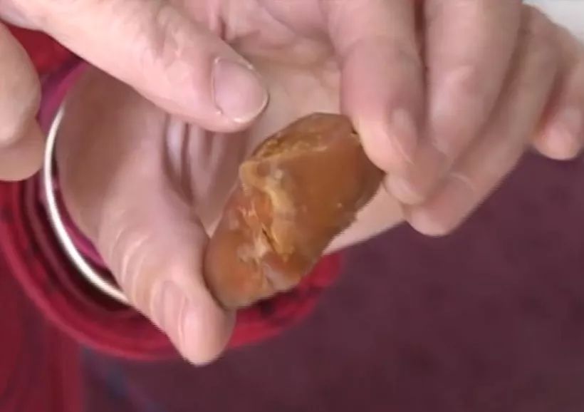 女子杀鸡得上亿元鸡宝,女子杀鸡取出400万