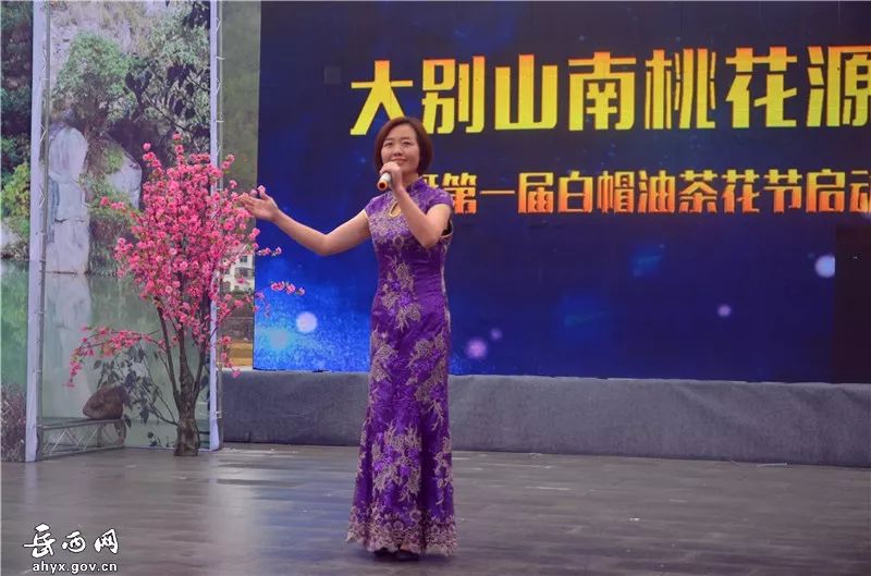 第八届油菜花节,乡村振兴油菜花节