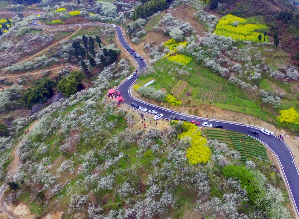 四川省2018年四好村名单,四川广安乡村振兴村名单