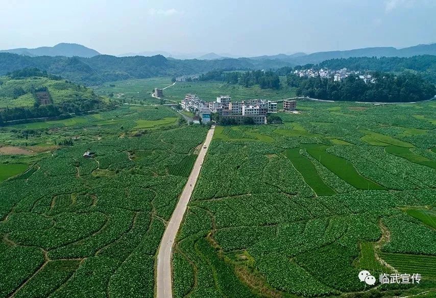 龙腾盛世“玉”见临武