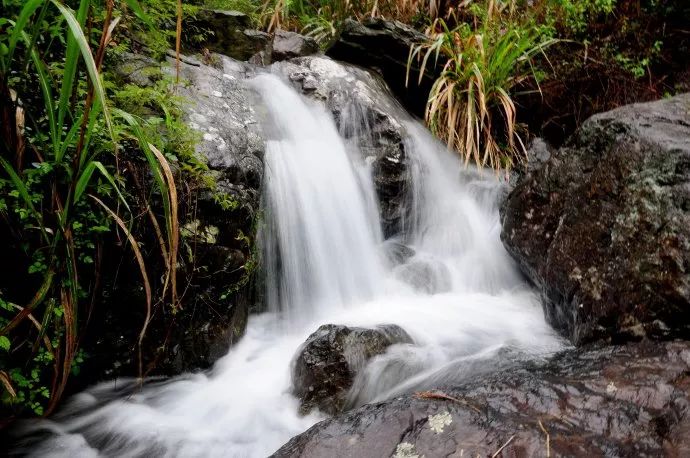 北仑河头游步道,一条游步道串起北仑