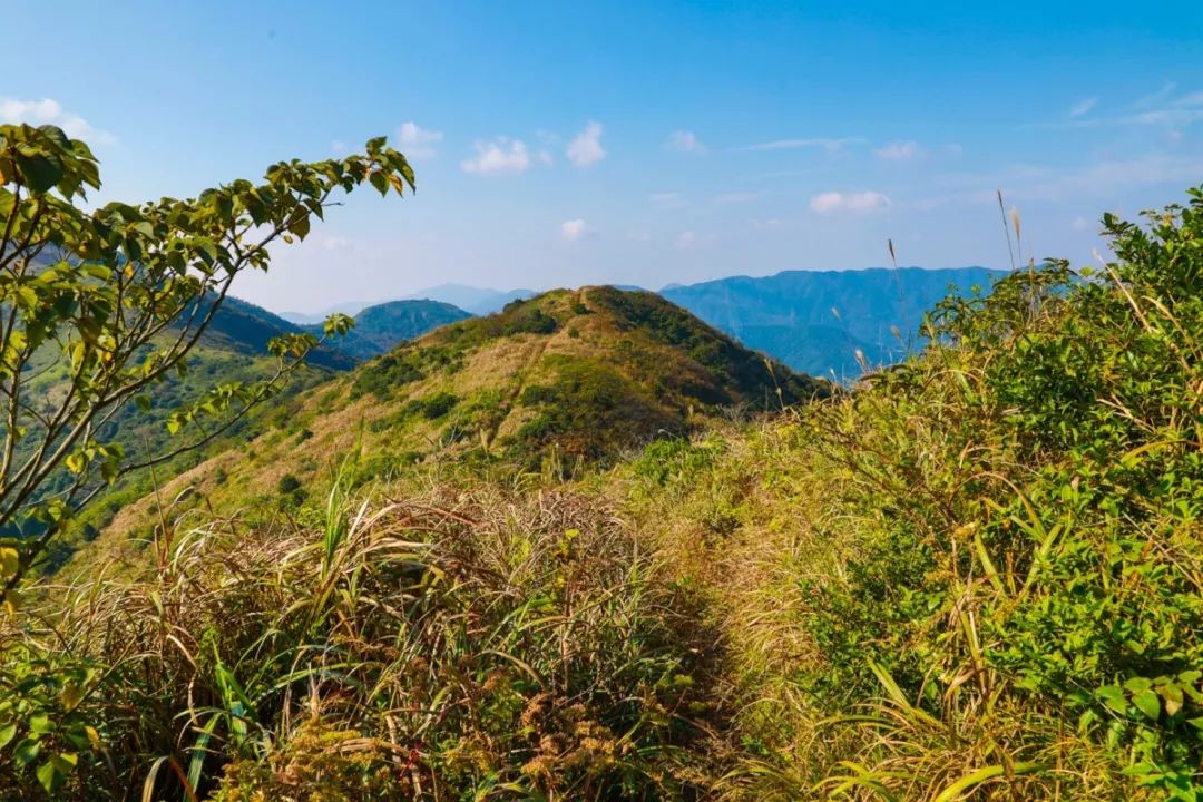 北仑河头游步道,一条游步道串起北仑