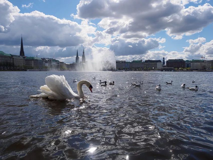 德国人的无趣印象,德国人的刻板印象有哪些