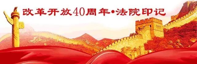 改革开放40年的回忆与展望勋章,改革开放40周年风雨兼程