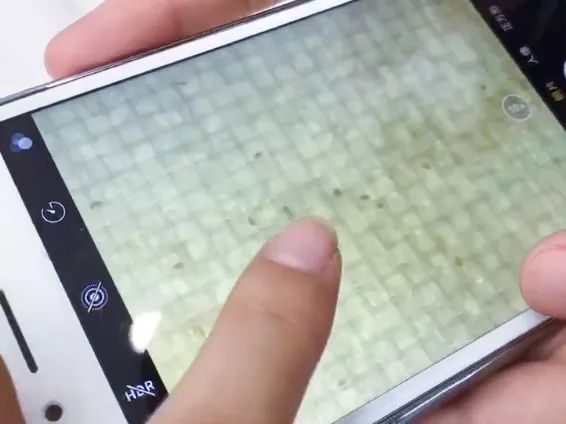 约会的前一天长了个痘,约会之前必长痘