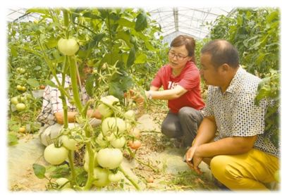 希望田野上的科技使者