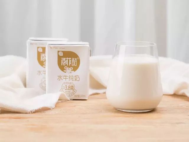 一条拼团｜“百菲酪”水牛奶，日东红茶经典奶茶