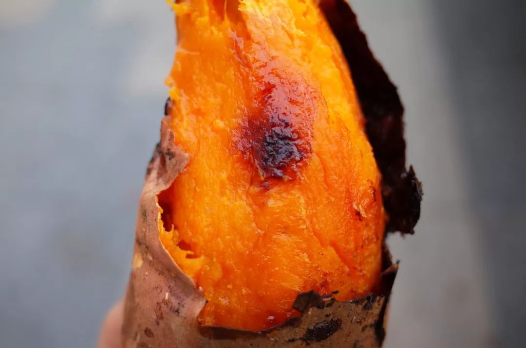 人间不值得但是人间很美好,人间不值得但是你值得是谁说的