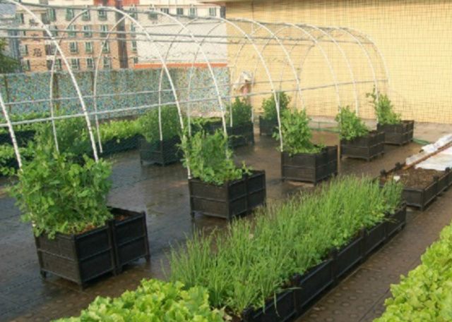 中国大爷深藏不露的视频,大爷无处安放的退休金