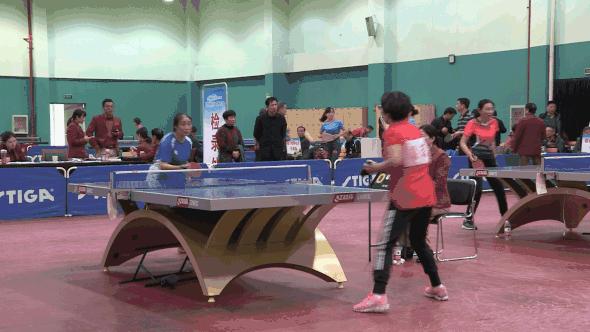 乒乓球热血比赛视频,乒乓球热血豪情比赛