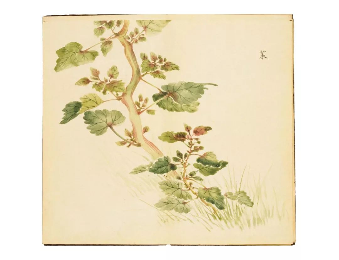 不要逼孩子死记硬背学古诗了,不要再给孩子盲目背诵古诗词了