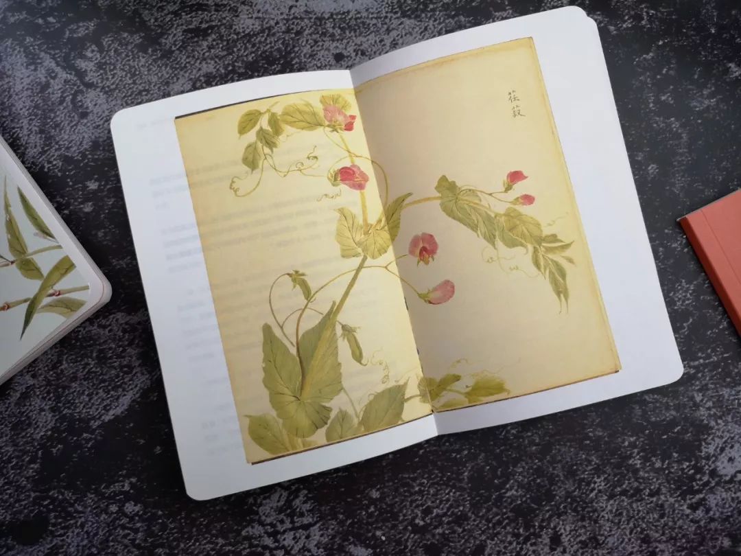 不要逼孩子死记硬背学古诗了,不要再给孩子盲目背诵古诗词了