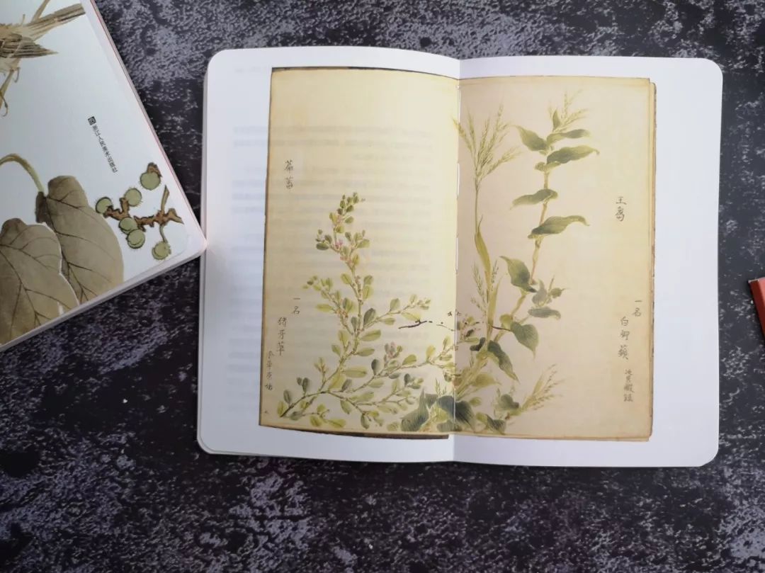 不要逼孩子死记硬背学古诗了,不要再给孩子盲目背诵古诗词了