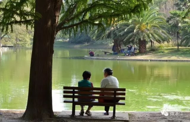 湛江投诉热线电话,湛江投诉举报热线电话