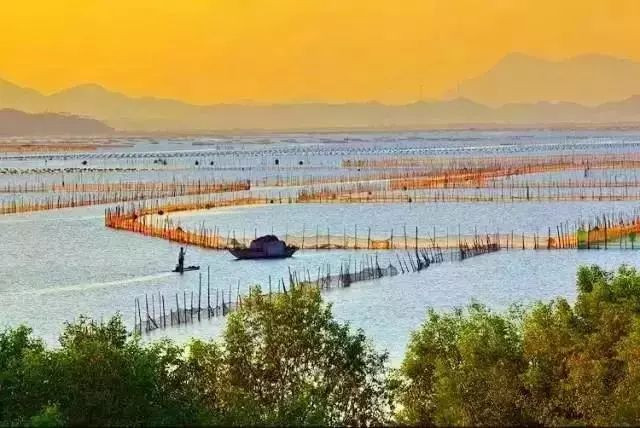 别去鼓浪屿挤了！佛山周边的5个小渔村！新鲜海鲜、绝美小桂林饱足眼福！