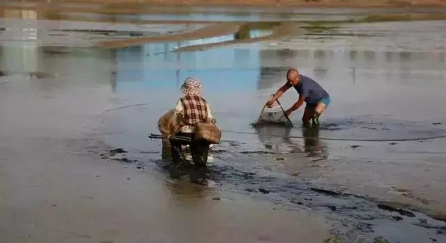 别去鼓浪屿挤了！佛山周边的5个小渔村！新鲜海鲜、绝美小桂林饱足眼福！