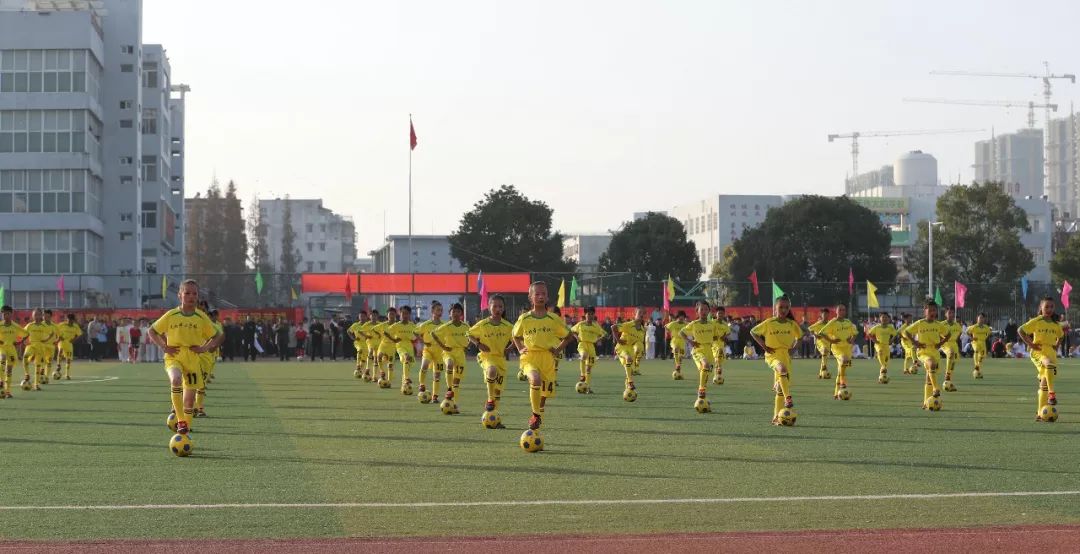 2019阜南足球联赛,南郑区第六届青少年校园足球联赛