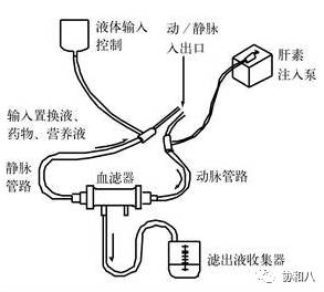 血浆置换和血透区别,血浆置换和血透的区别是什么