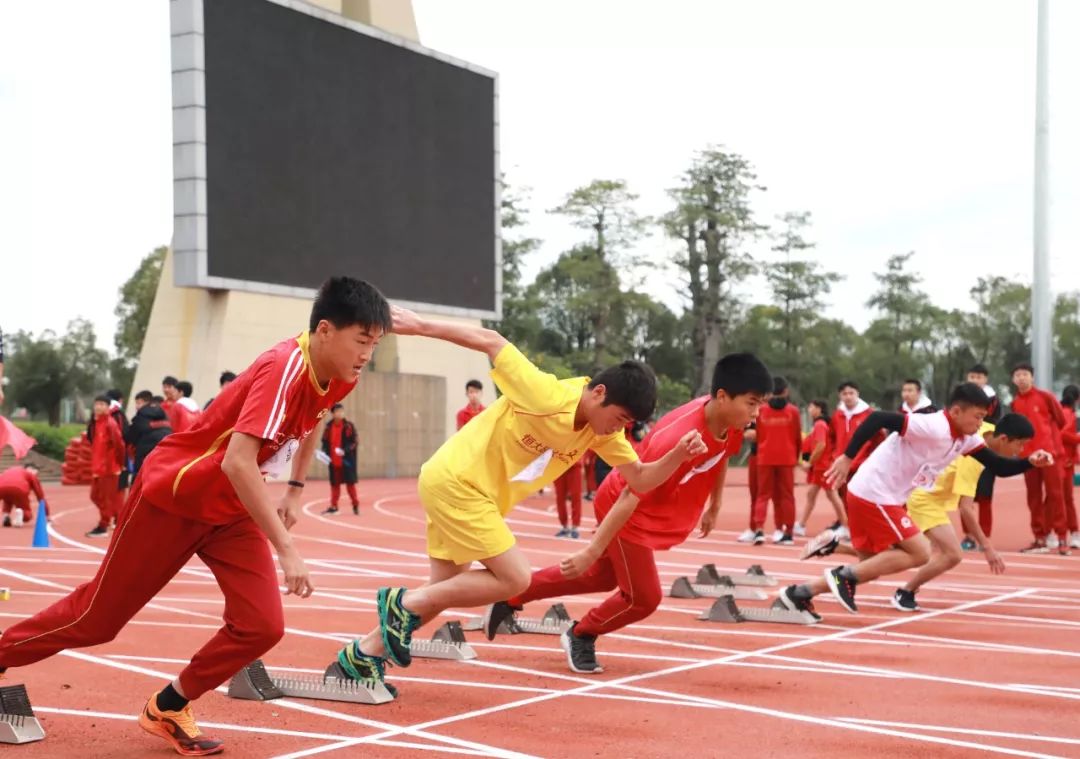 足球特点校的足球比赛,足球趣味运动会项目