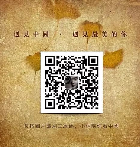 纵有千种风情更与何人说,端午粽有千种风情