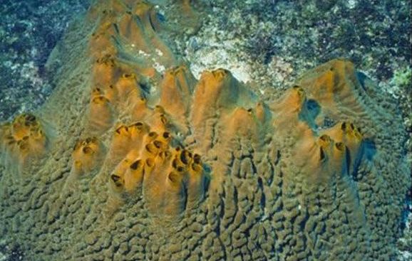 深蓝之下寻宝,深蓝之下游戏