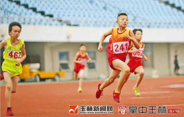 8大赛事，4000多人参与，玉林这个盛会能量爆棚！看点……