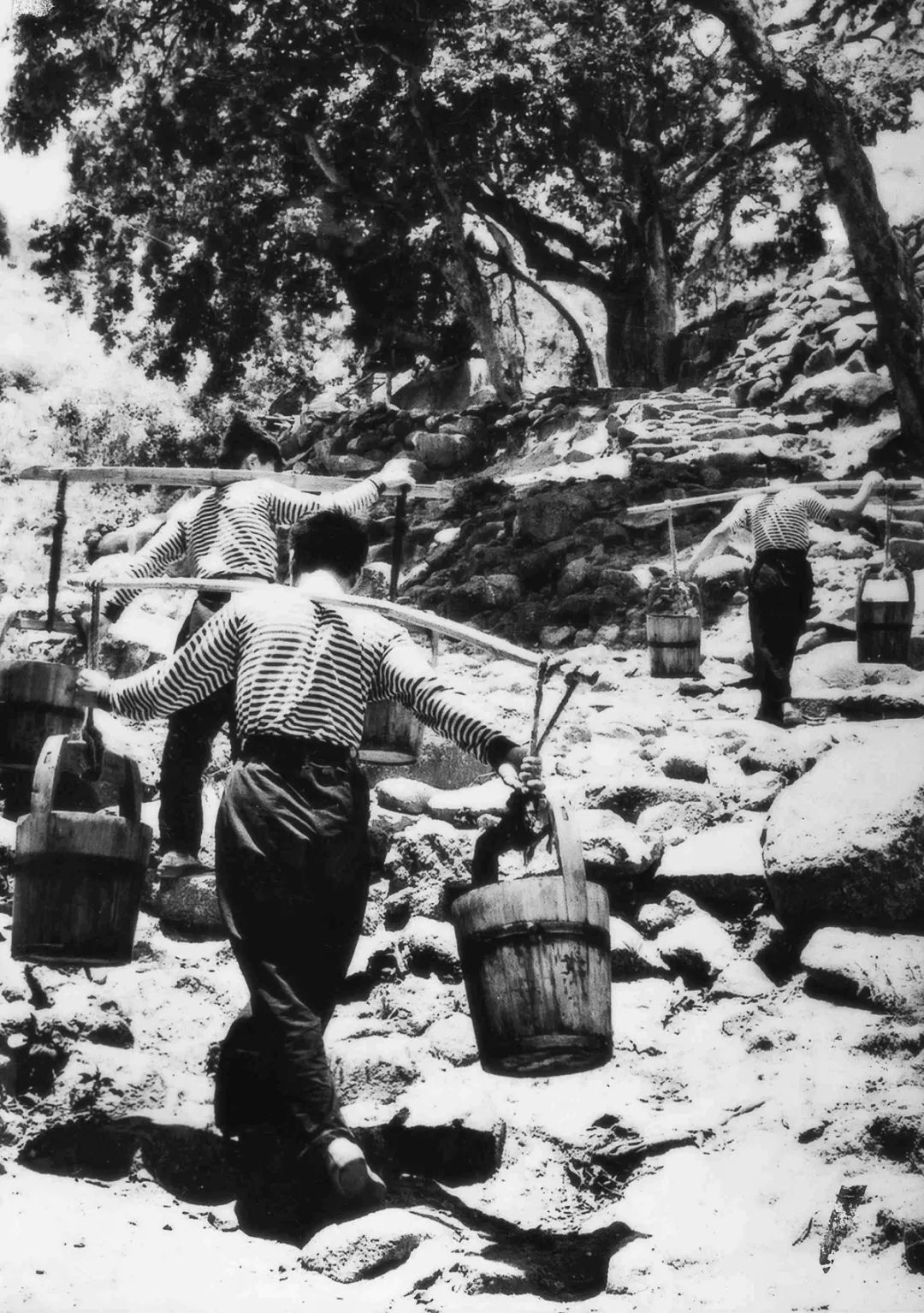 中国最美的篮球场树林,国内最美的十大篮球场