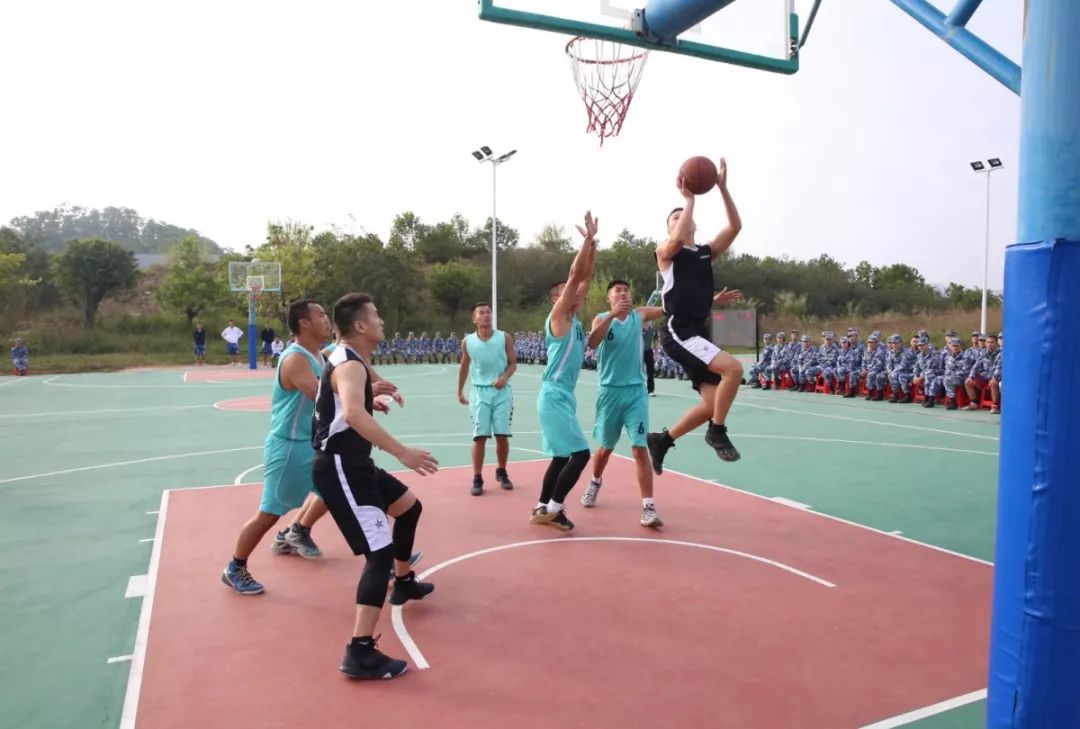 中国最美的篮球场树林,国内最美的十大篮球场