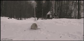 鬼知道我经历了什么小说在线看,鬼知道我经历了什么txt完整版