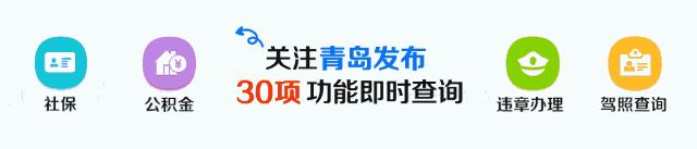 青岛亚洲杯球场,青岛积极申办足球杯