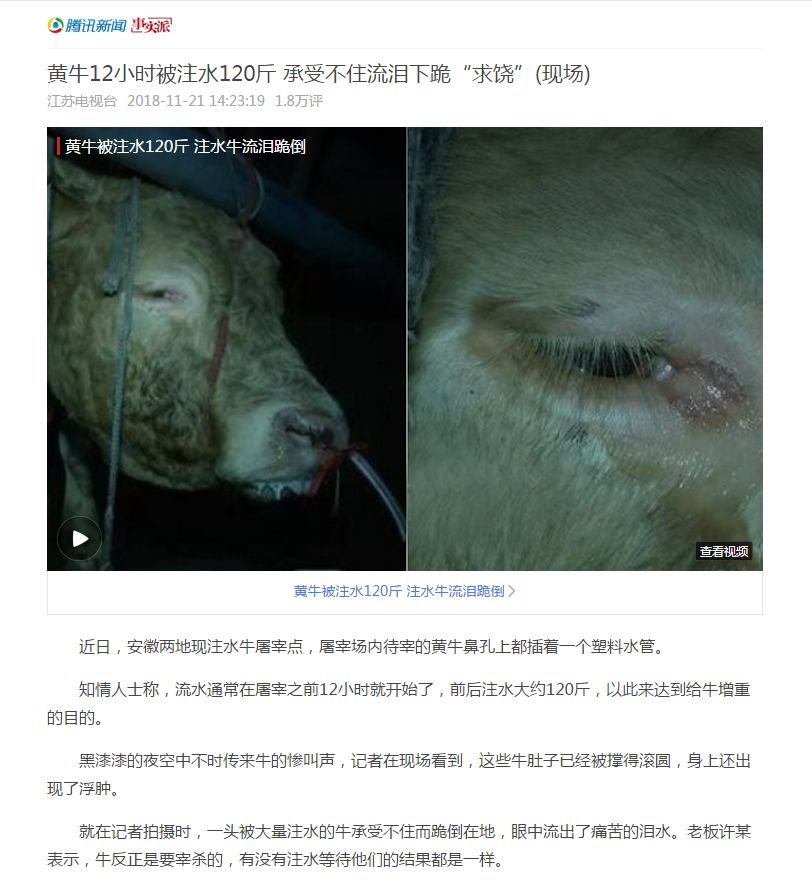 平时吃的牛肉都是什么部位,原来吃牛肉也有这些功效