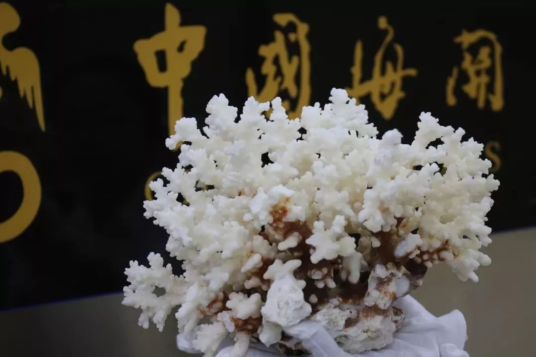 要过年了回家要带什么,要过年了去广东